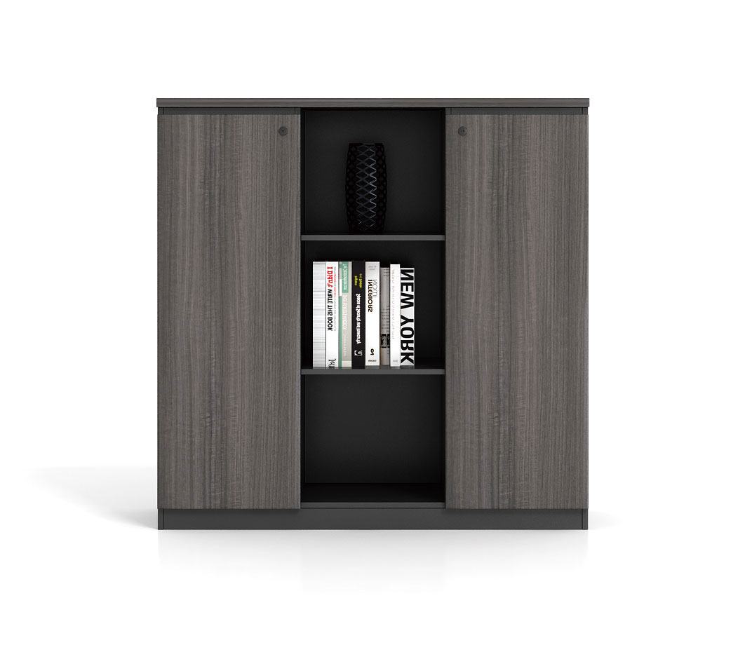 Modern style File cabinet Bookcase B-CE1204